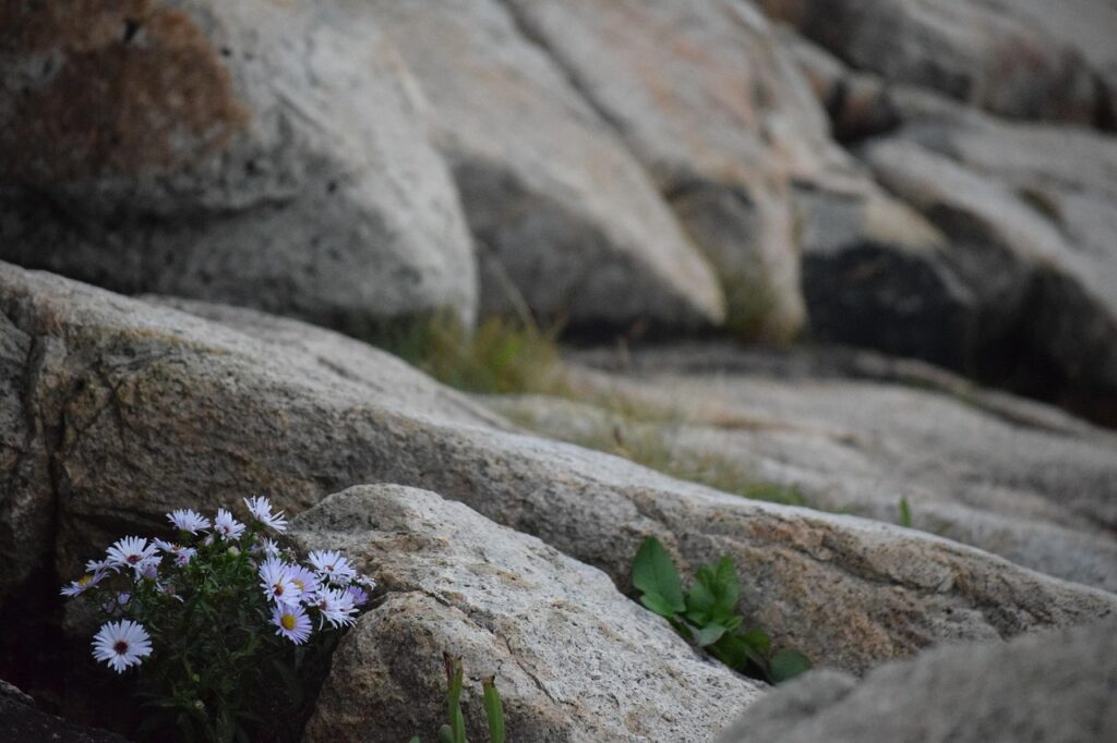 Granit springvand naturligt i dansk havekunst